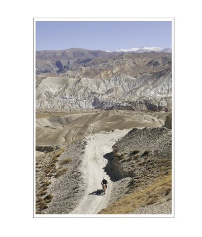 Mustang Wilderness - Photo Print
